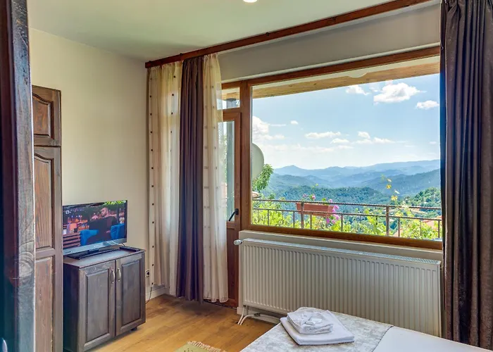 при баръма Vishnevo